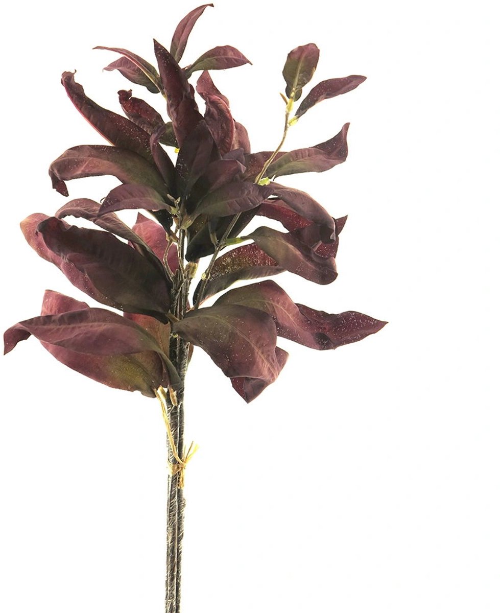 Buitengewoon Boet Buitengewoon de boet - Salvia leaf bundle x3 burgundy 50 cm kunsttak groen