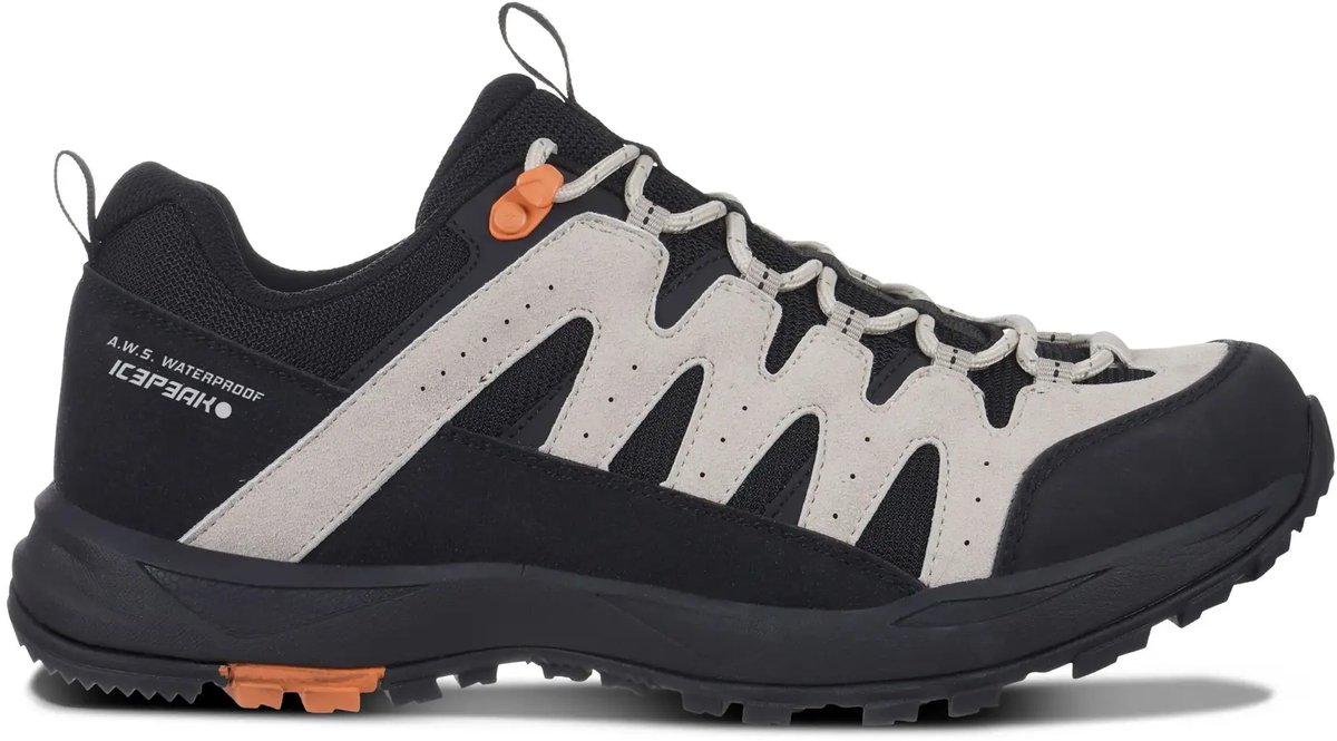 Wandelschoenen Icepeak Aura Zwart