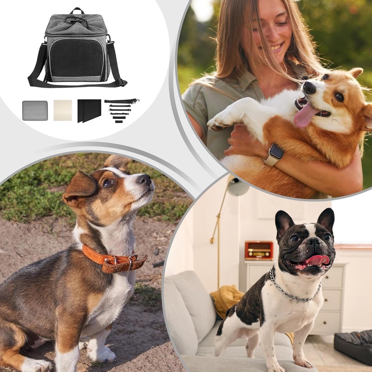 Fietsmand voor honden - Hondenmand fiets - Veilig vervoeren - Afneembaar en licht - 31 x 7 x 36 cm