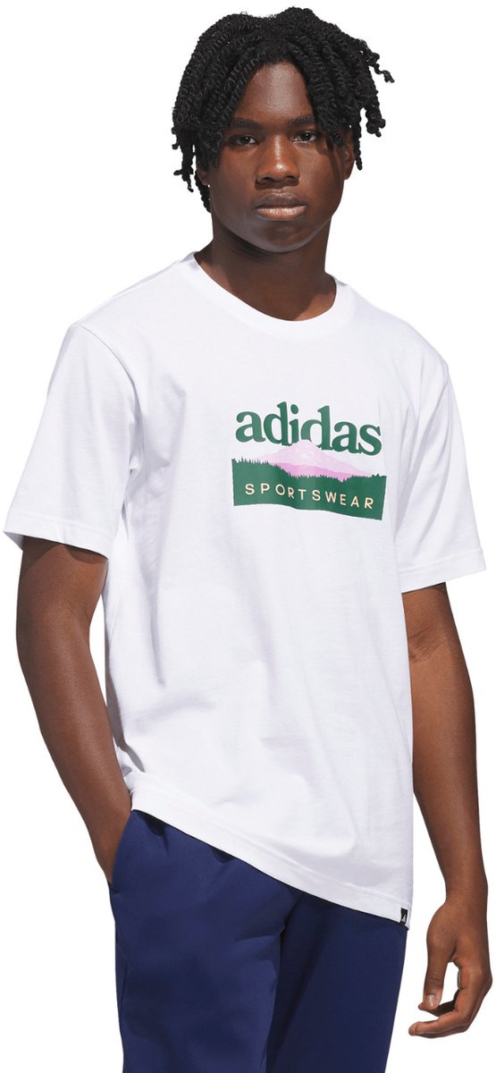 adidas T-shirt Heren Sportsman Mountain Graphic Wit
