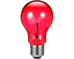 Reptiel Warmtelamp - Terrarium Lamp - Dieren Welzijn - Hard Kwartsglas - 100W - Rood Blauw