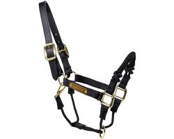 Controle halster paard - Paarden halster - Meer controle - Graveerbare naamplaat - 50 x 50 x 50 cm - Zwart