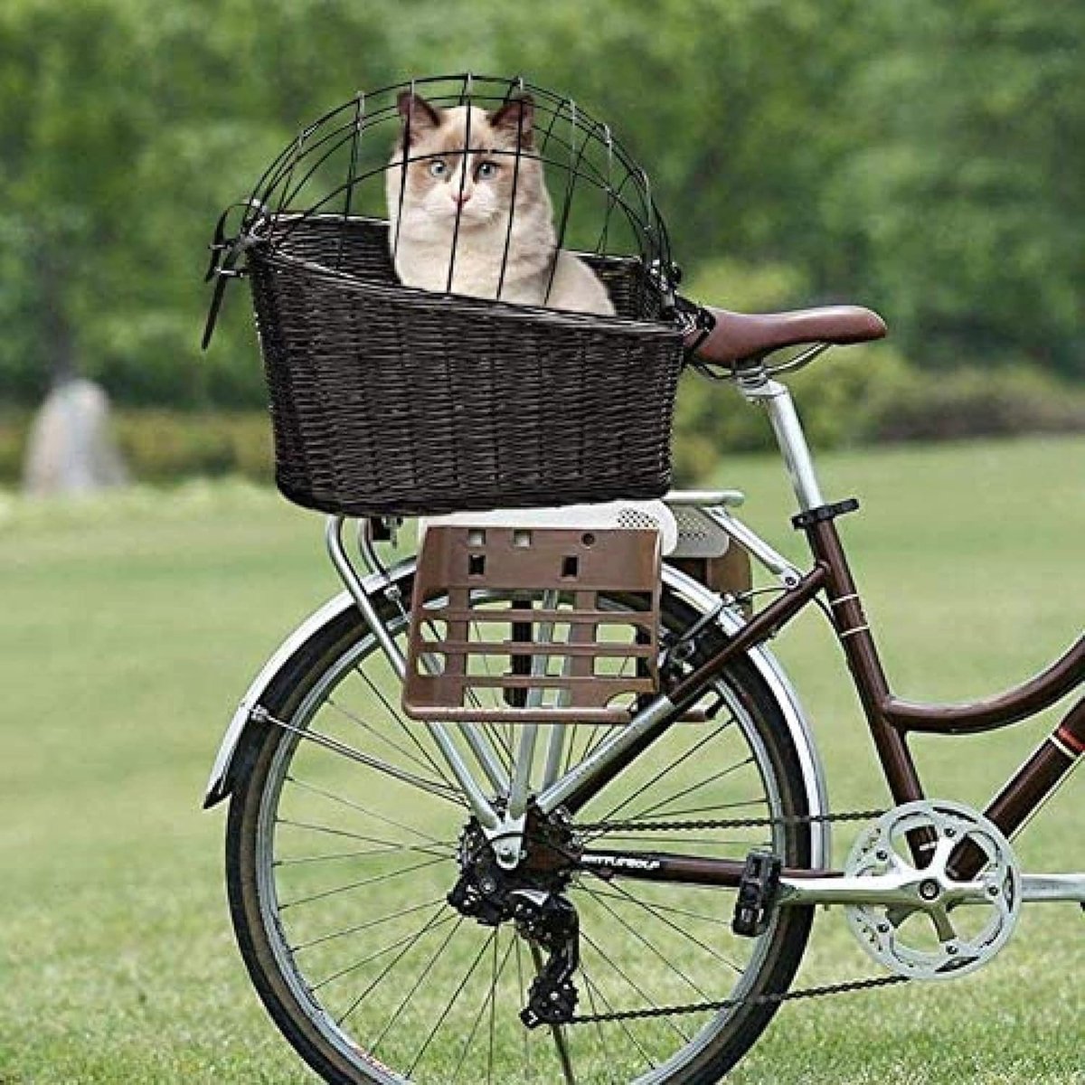 Fietsmand voor Huisdieren - Fietsmand Honden Kat - Veilig Vervoeren - Handgeweven Wilgenmand - 44 x 24 x 53 cm