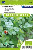 Sluis Garden - Koriander Marino Biologisch (Coriandrum sativum)