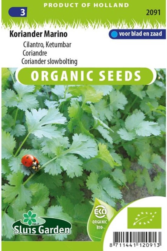Sluis Garden - Koriander Marino Biologisch (Coriandrum sativum)