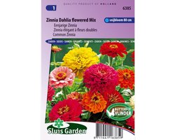 Sluis Garden - Zinnia Dahlia-Bloemige Mix