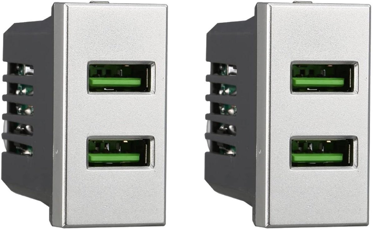 USB Wandmodules - Oplaadpunten - Apparaten Laden - Twee Poorten - Eén Module - Grijs
