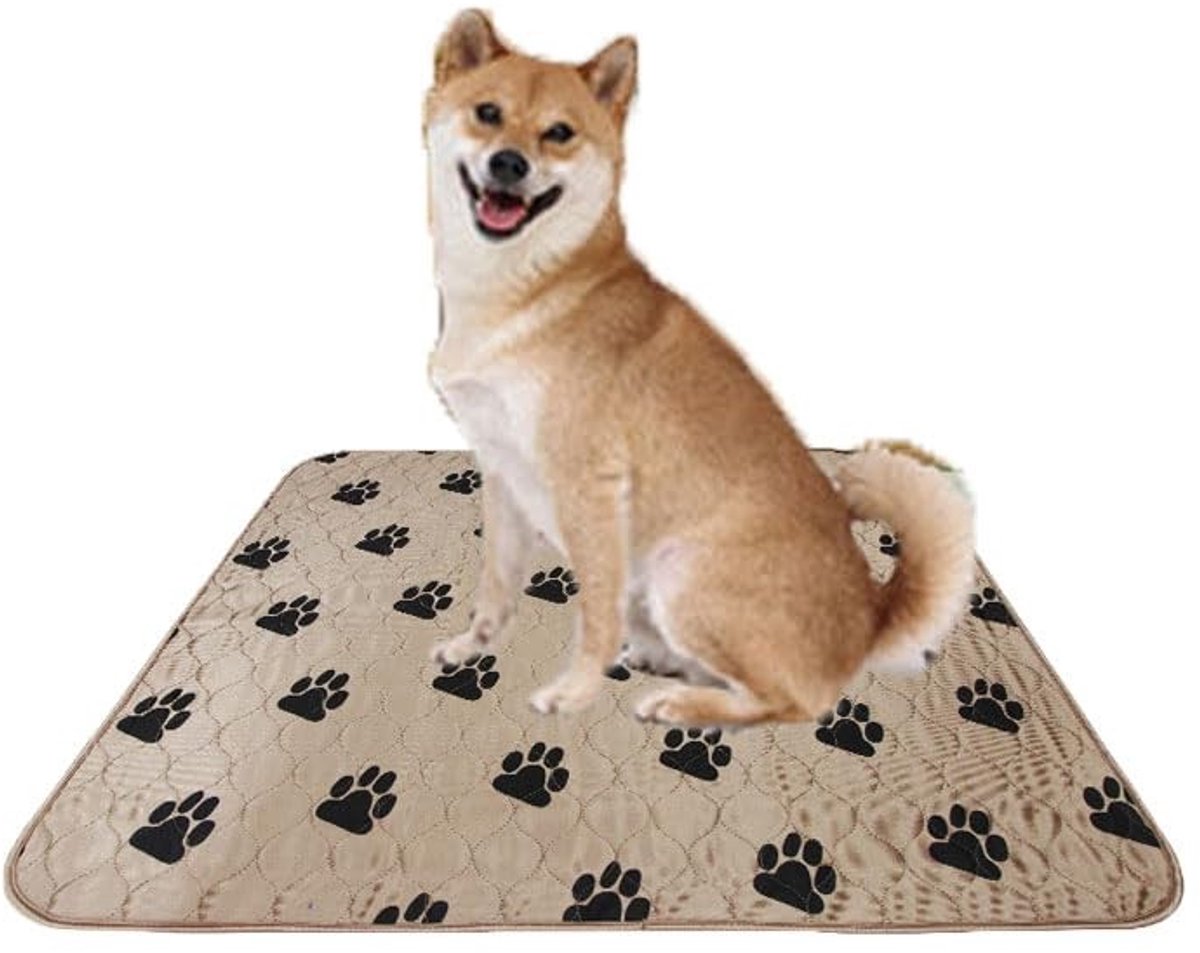 Allecto - Hondenplaspads - Herbruikbare training mat - 69,8 x 79,8 cm - Waterabsorberend - Antislip en waterbestendig - Ideaal voor puppy's en oude...
