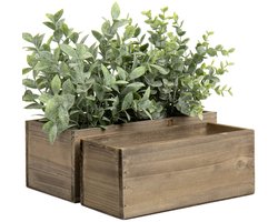 Plantenbak - Bak voor planten Set van 2 bloempotten van echt hout - natuurlijke kisten - shabby vintage antieke look - decoratieve plantenbak - planten decoreren