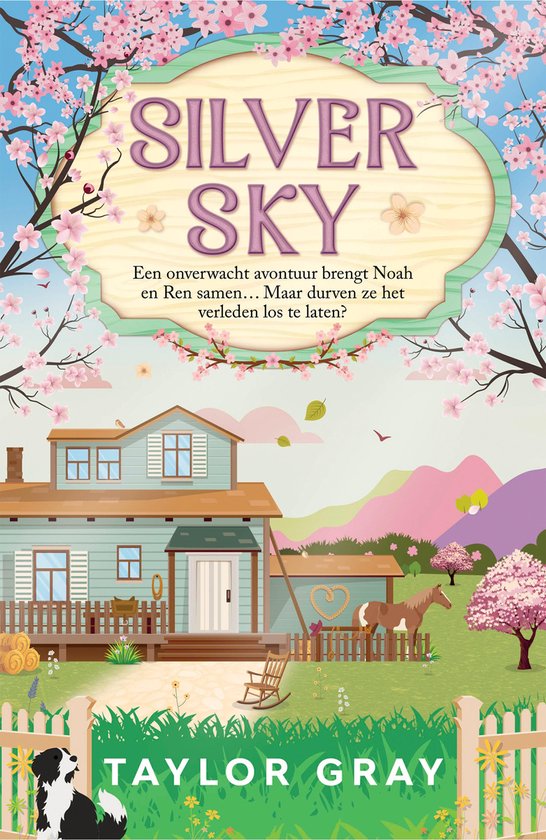 De Carter-broers 2 - Silver Sky - cover