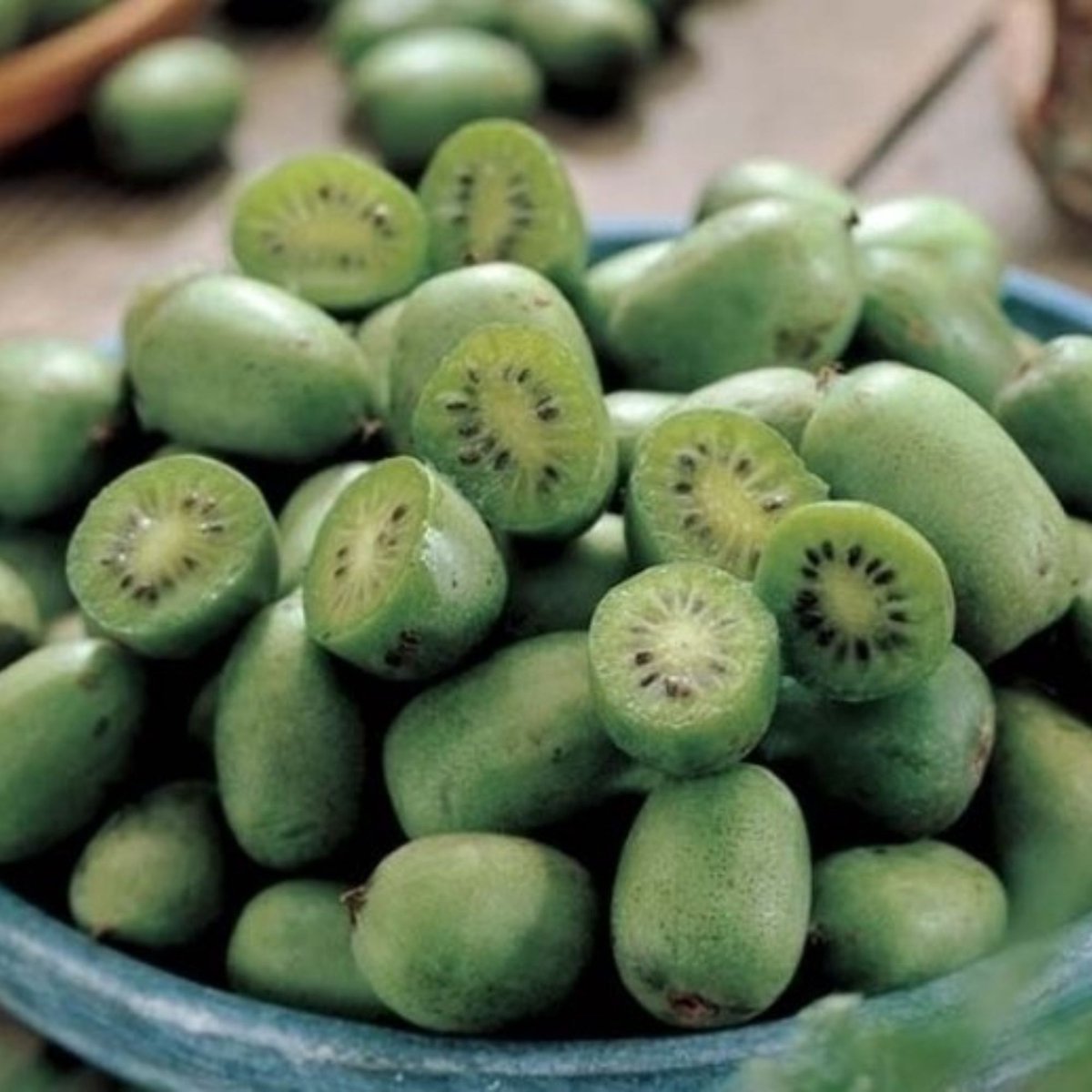 Kiwibes (Actinidia Arguta) - Mini Kiwi Issai - Vaste planten - Moestuin - Bijen-Vlinders - Klimplant - Zomerbollen - Voorjaarsbollen