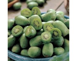 Kiwibes (Actinidia Arguta) - Mini Kiwi Issai - Vaste planten - Moestuin - Bijen-Vlinders - Klimplant - Zomerbollen - Voorjaarsbollen
