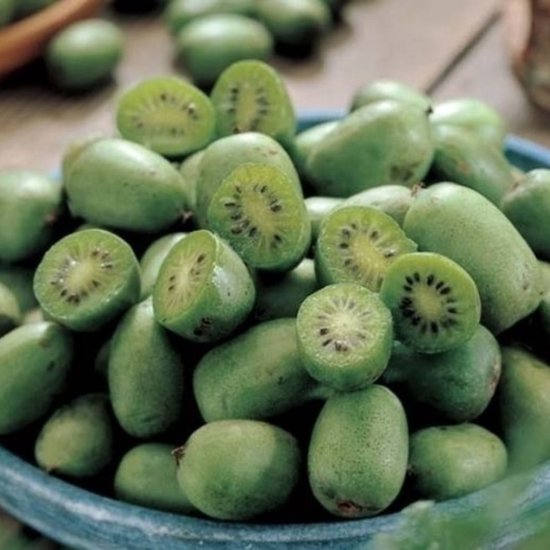 Kiwibes (Actinidia Arguta) - Mini Kiwi Issai - Vaste planten - Moestuin -...