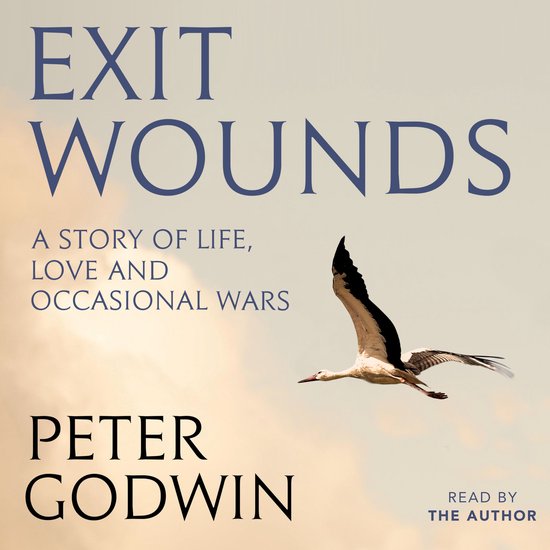 Exit Wounds - cover
