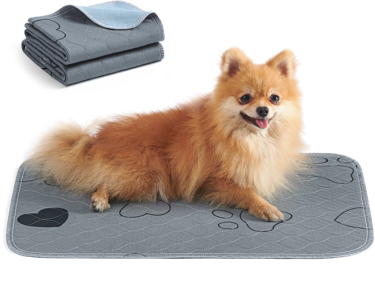 Feandrea - Trainingsmat - Herbruikbare Matten voor Honden - Lekvrij en Antislip