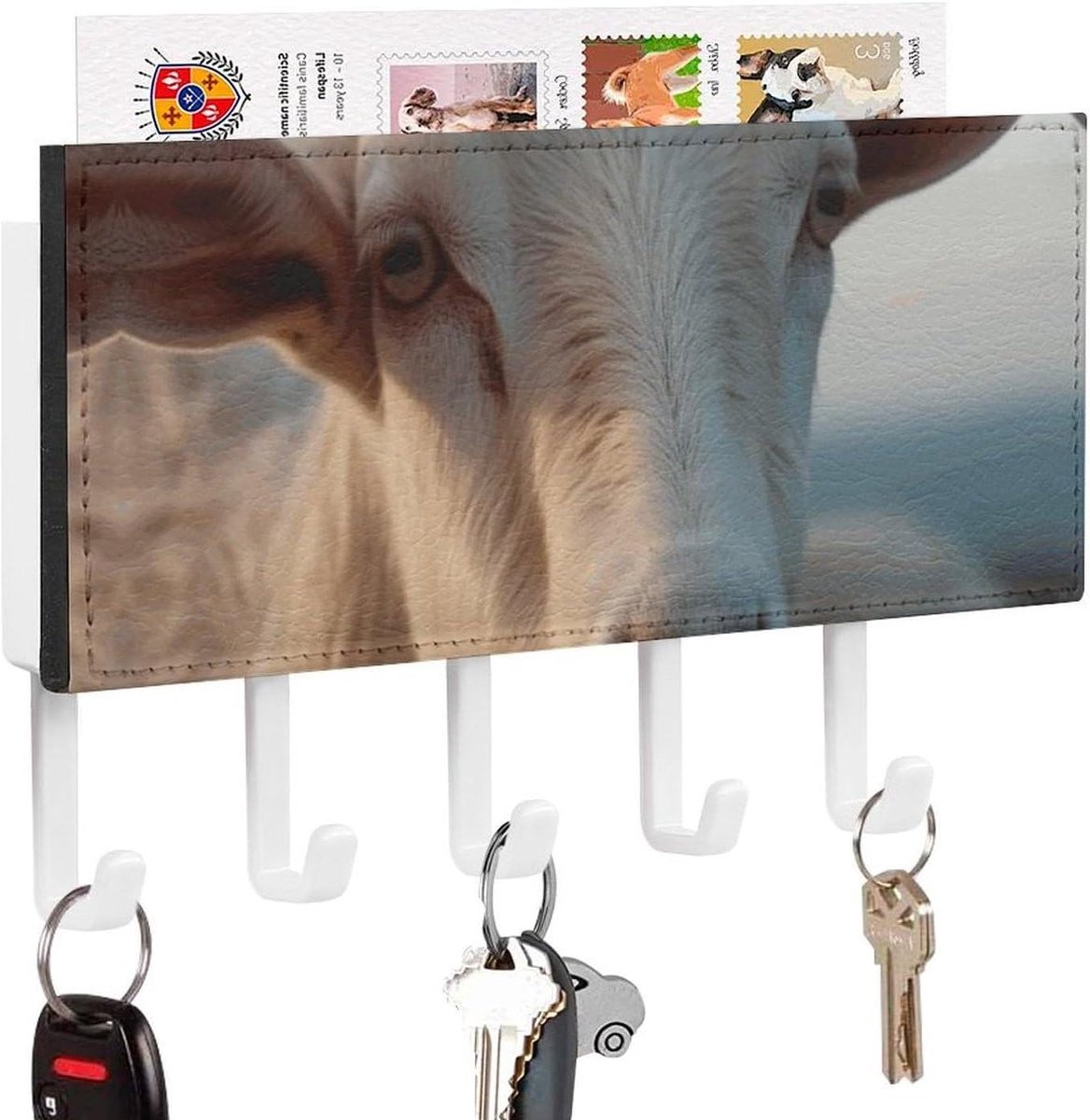 Sleutelhouder Muur - Wandrek Haken - Organiseren Entree - Met Postvak - 5 Haken - Wit