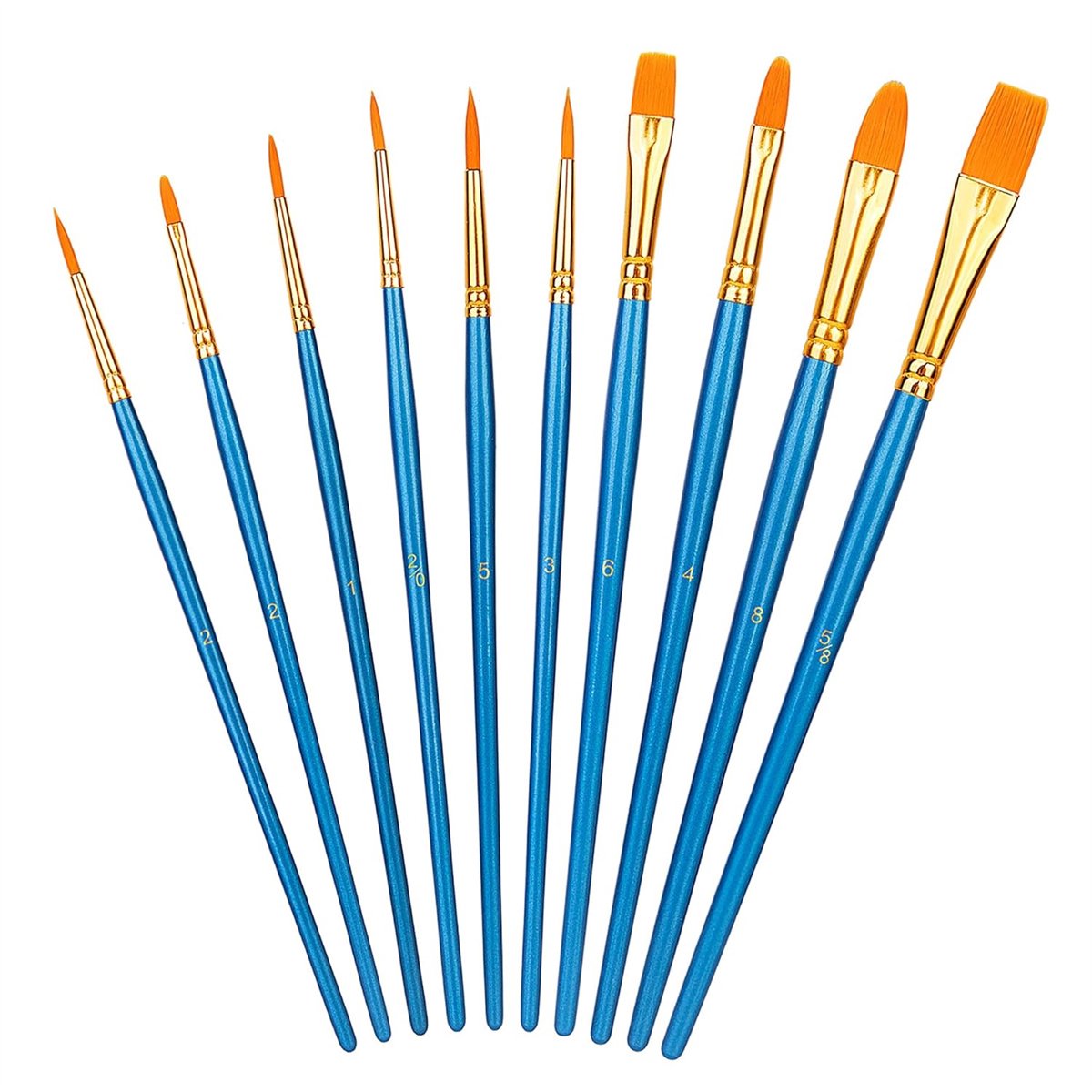 carmdering - Penselenset 10 Stuks – Verfkwasten Set voor Acrylverf, Aquarel & Olieverf – Schilderskwasten met Houten Handvat – Artist Paint Brushes voor Kunstenaars, Hobby & Schilderen