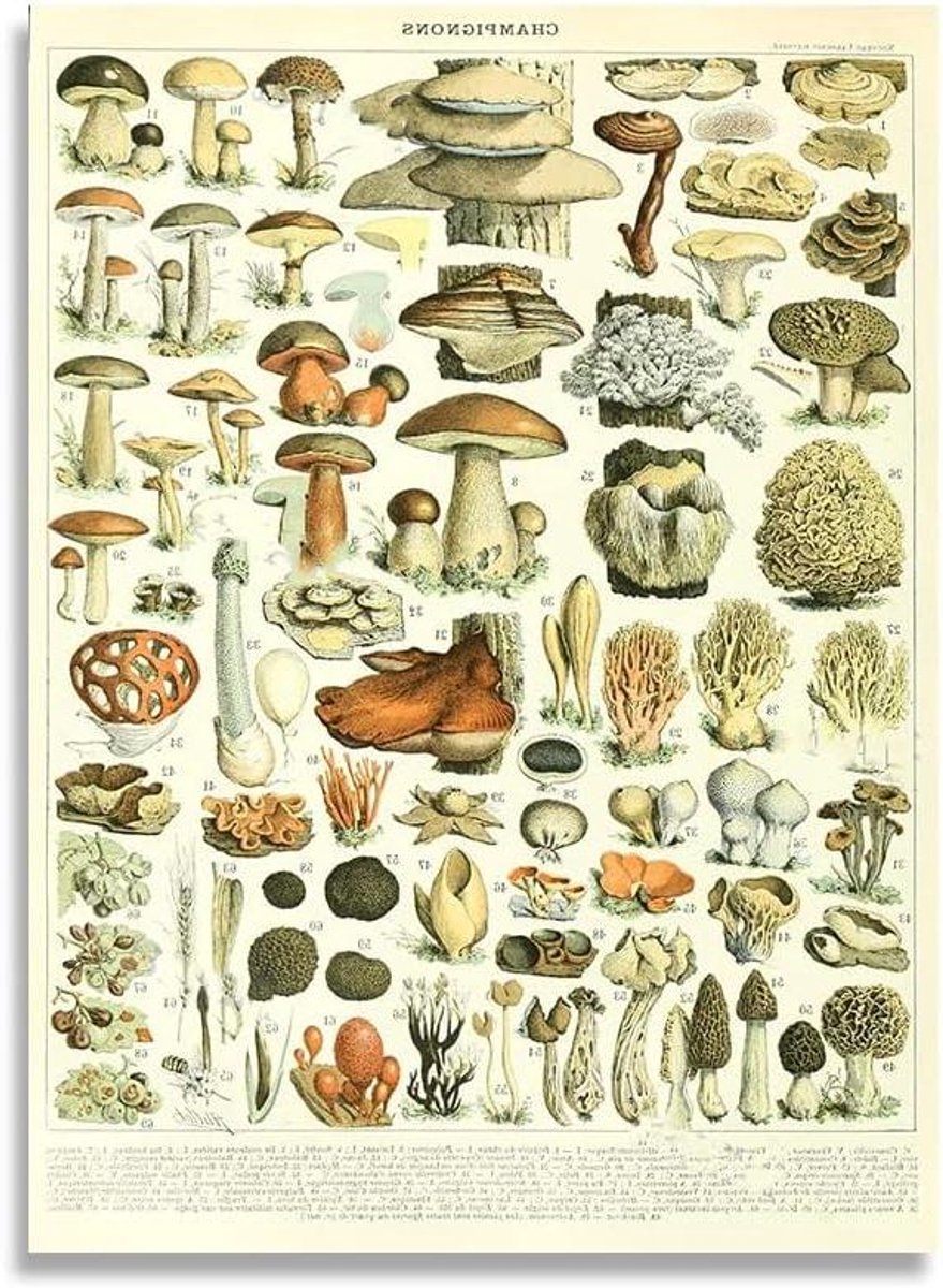 Houten Legpuzzel - Puzzelset Volwassenen - Ontspannen Tijdverdrijf - Educatief Speelgoed - 1000 Stukjes - Multicolor