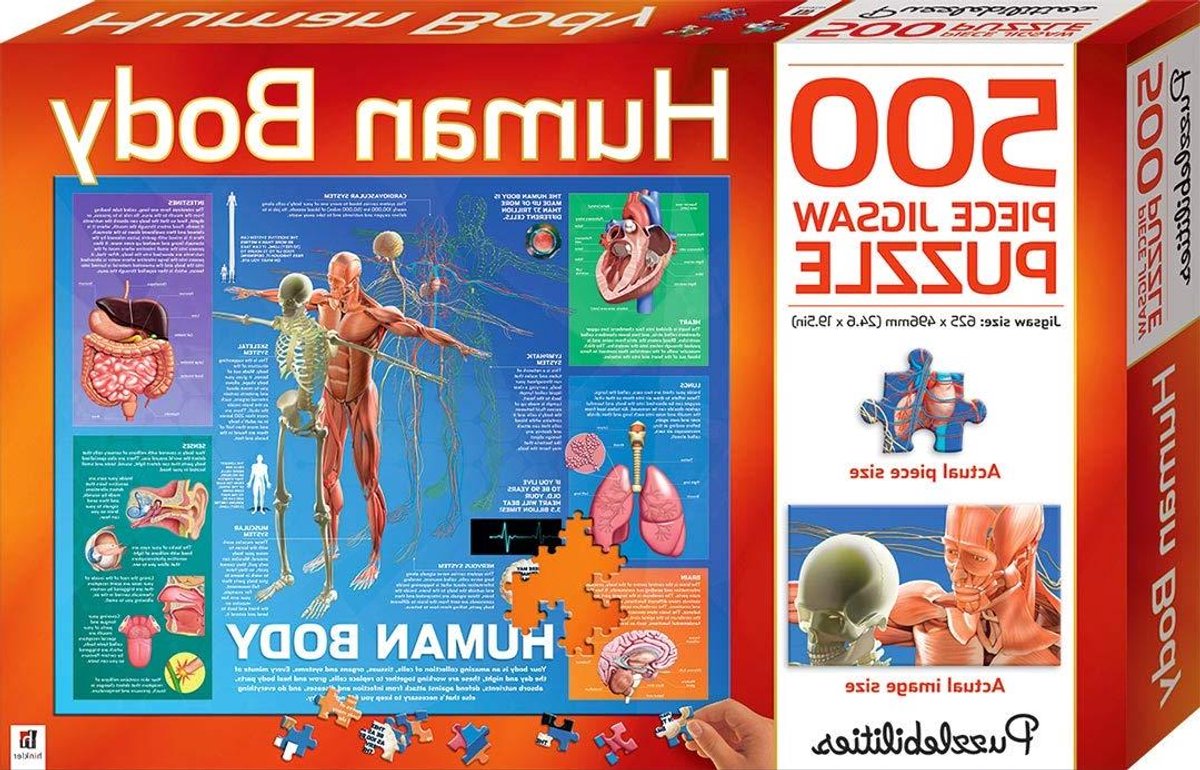 Menselijk Lichaam Puzzel - Educatieve Puzzel - Leren Thuis - 500 Stukjes - 10 x 10 x 10 cm - Multicolor