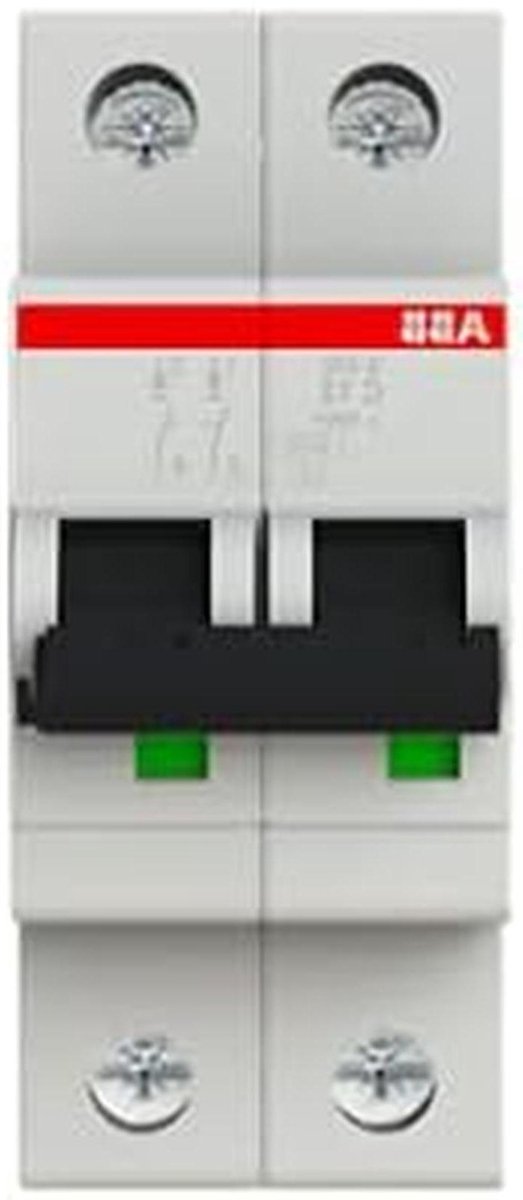 Automatische Schakelaar - Mini Stroomonderbreker - Elektrische Beveiliging - 6 KA Kortsluitvast - 2 Polen - Grijs