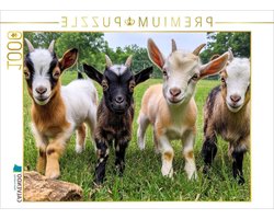 CALVENDO Puzzel geiten | 1000 stukjes legformaat 64 x 48 cm fotopuzzel voor gelukkige uren