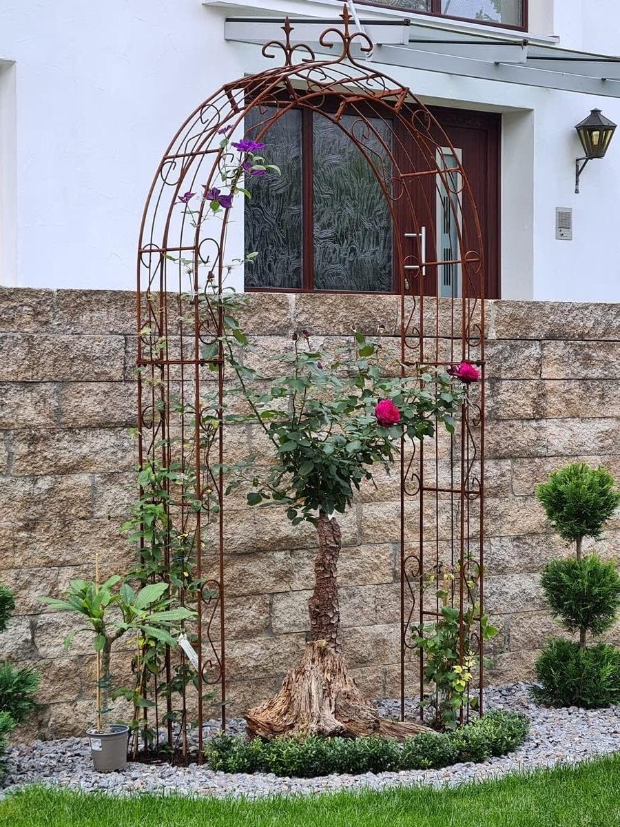Rozenboog - Pergola Tuin - Klimplanten Ondersteunen - 100% Handgemaakt - 220 cm - Zink