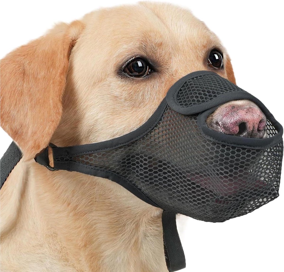 Honden Muilkorf - Snuit Hond - Rustige Wandelingen - Verstelbare Pasvorm - Maat XL - Zwart