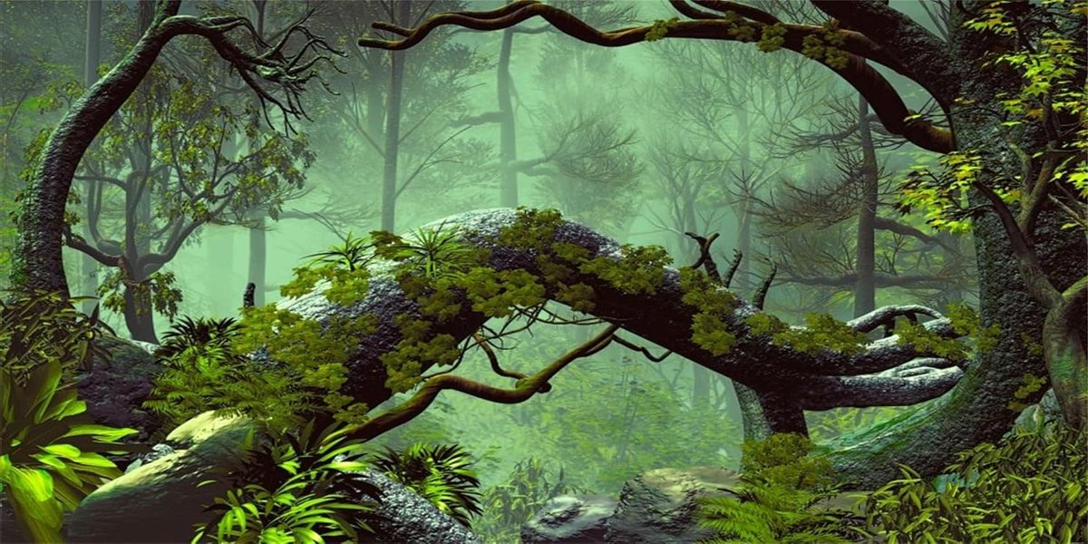 Terrarium Achtergrond - Aquarium Decoratie - Habitat Inrichten - Levendige HD Beelden - 180x46 cm - Mistig Bos