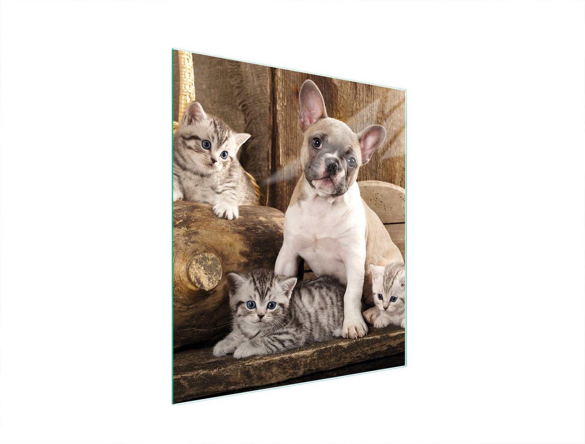 TMK ArtDeko Serie - Snijplank van gehard glas - 45x52 cm - Motief Hond