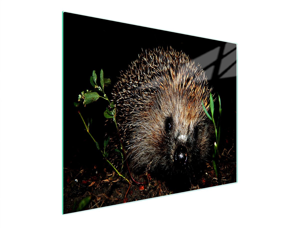 TMK ArtDeko Serie - Glazen Snijplank - 52x30 cm - Verschillende Functies - UV-Print