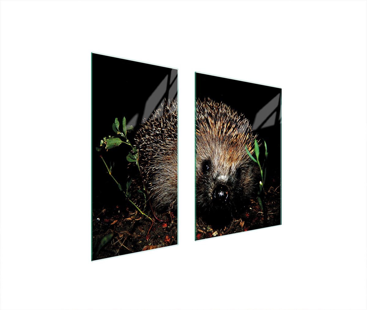TMK ArtDeko - Snijplank - 75x52 cm - Jež - Gehard Glas