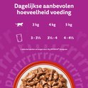Tabel met dagelijkse aanbevolen hoeveelheid voeding voor katten van 3kg, 4kg en 5kg.