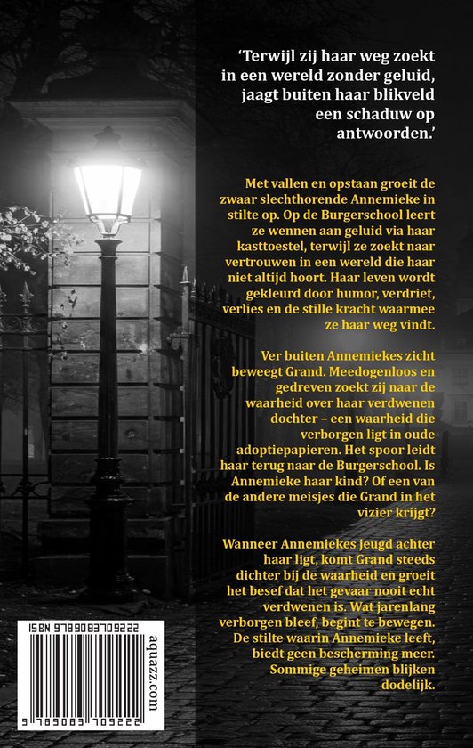 Een lantaarnpaal in de nacht verlicht een poort met een boek barcode en titel.