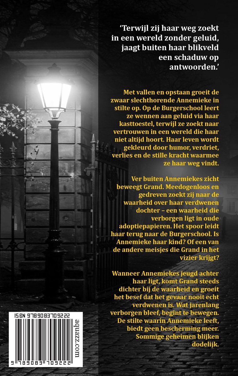 Een lantaarnpaal in de nacht verlicht een poort met een boek barcode en titel.