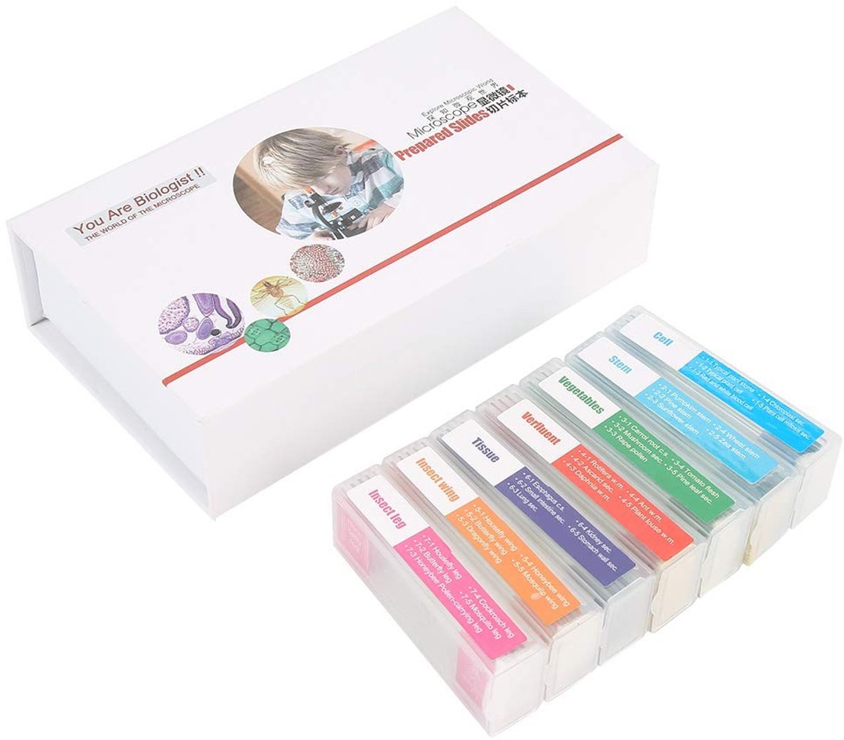 Dailygoody - Microscoopmessenset - Biologische specimens - Voor onderwijs - 35 stuks - Transparante glazen messen - Perfect voor biologie lessen - Inc...