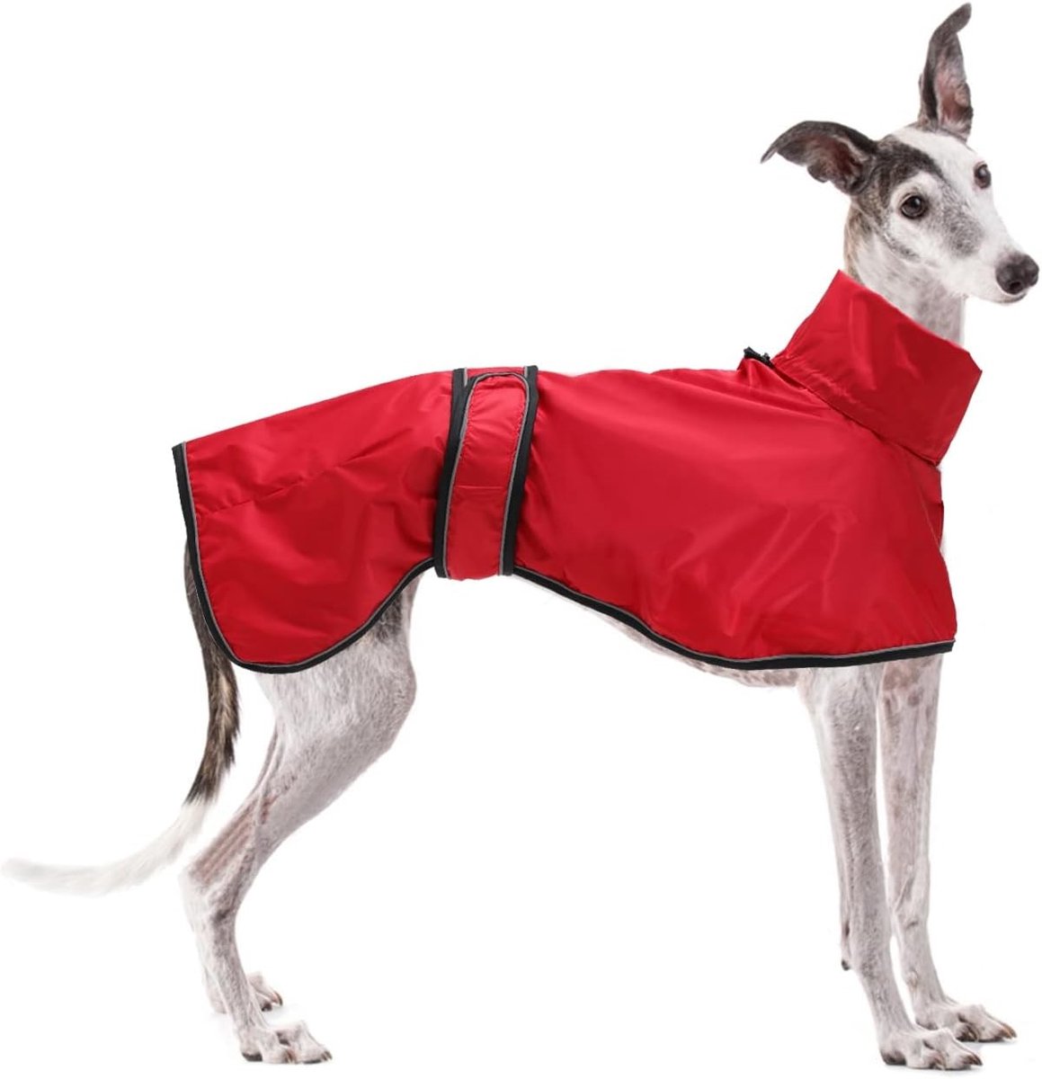 Lichtgewicht Verstelbaar Waterdicht Hondenjasje met Reflecterende Straps en Tuigopening - Ideaal voor Greyhounds, Lurchers en Whippets - Rood - XL - Bescherming, Comfort, Weerbestendig
