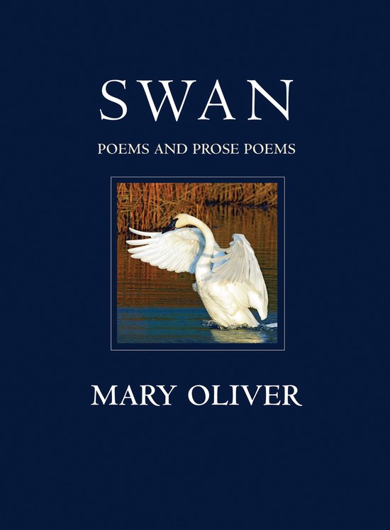 Swan - cover