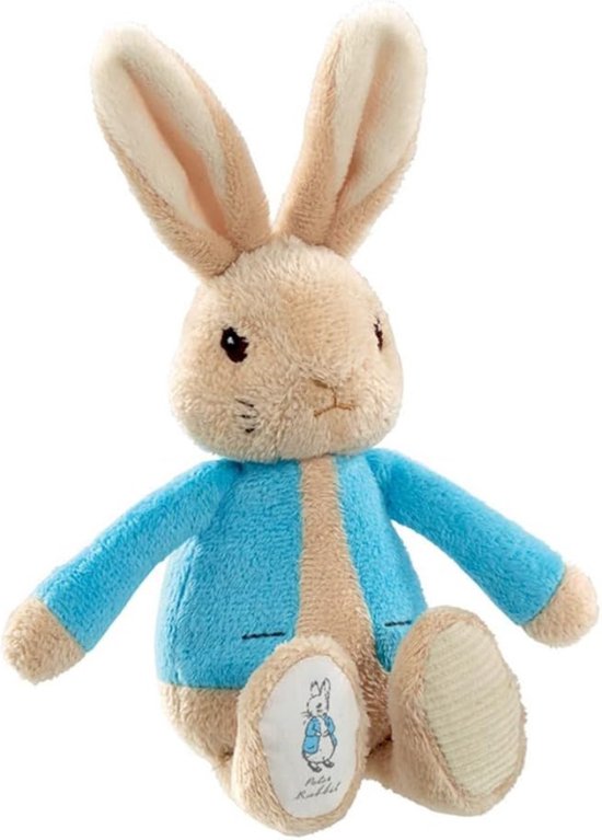 QZDAFFIC Beslissingsmunt voor nieuwe mama, papa, cadeaus voor nieuwe aanstaande ouders, gepersonaliseerd babyshower, cadeau voor verse moeders, aanstaande vaders