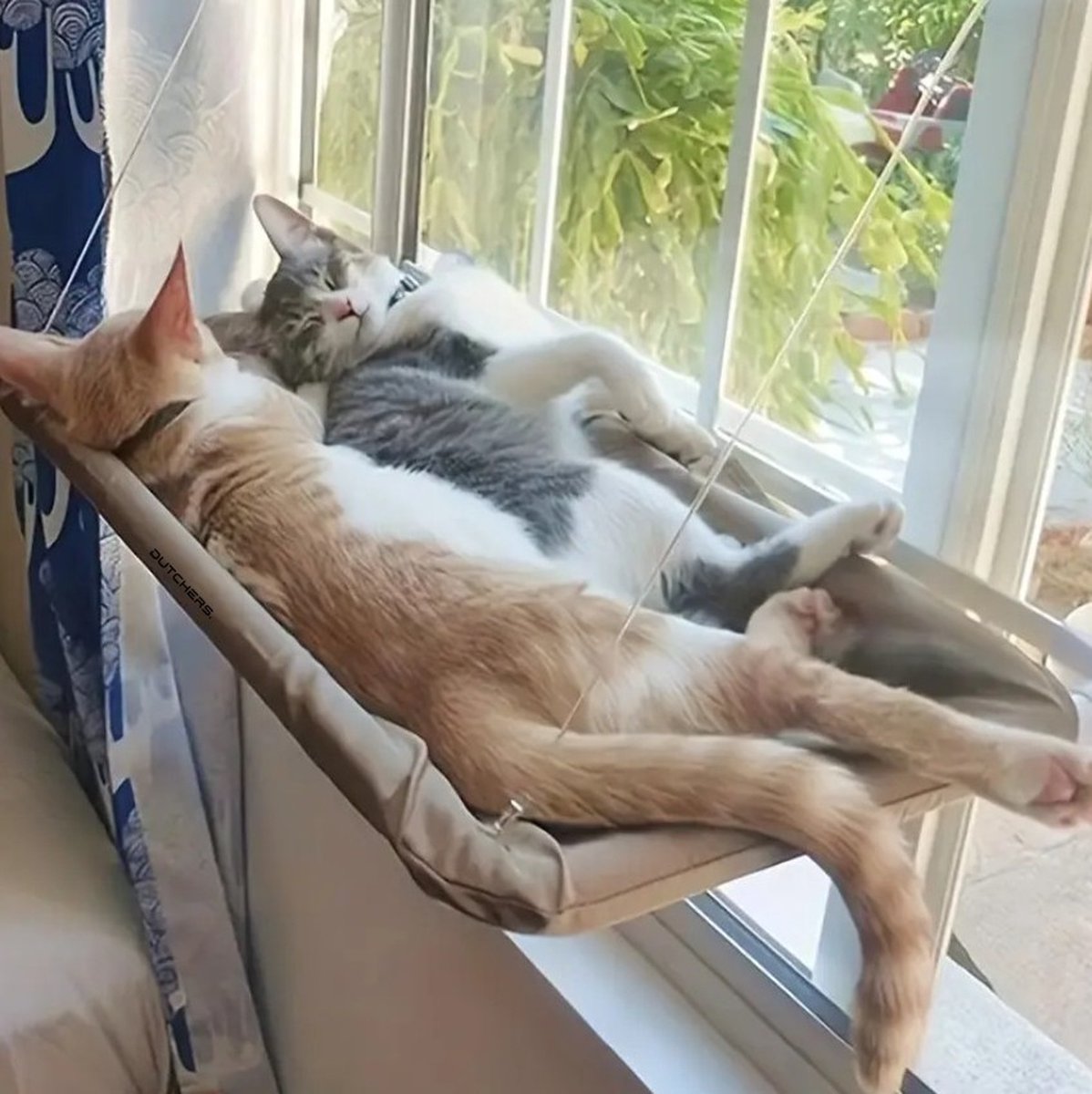 Dutchers Kattenbed hangmat voor het raam
