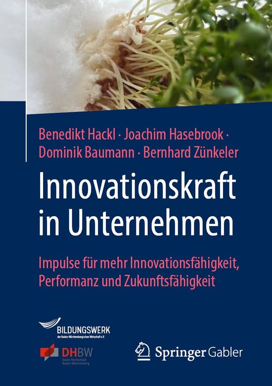 Business and Economics (German Language) - Innovationskraft  ... - cover
