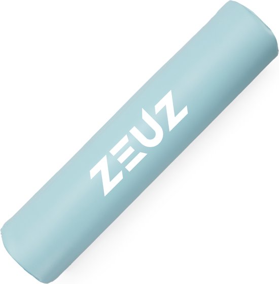 Lichtblauwe ZEUZ halterstangbeschermer met wit logo, in de vorm van een rol.