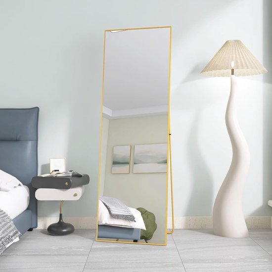 Fragix York Passpiegel - Goud - Aluminium - 150x40 | Leen Bakker