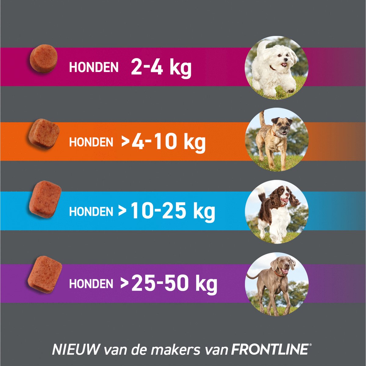 Frontpro Anti vlooien kauwtablet - Hond M 4-10 kg - 3 tabletten — afbeelding 5