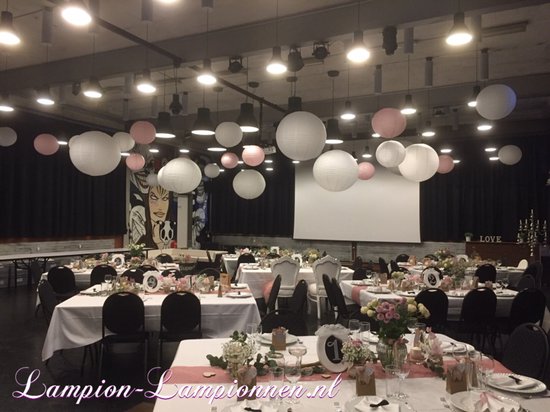 5 x Lanterne rose clair 75 cm - grandes lanternes rose bébé - décoration baby shower - baby shower