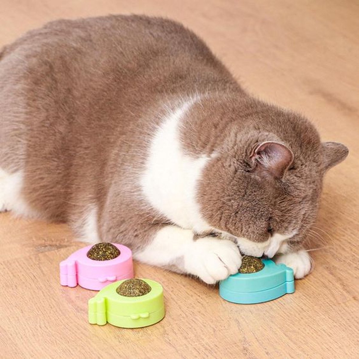 31 stuks kattenspeelgoed met kattentunnel, ballen, kattenspeelgoed, mu