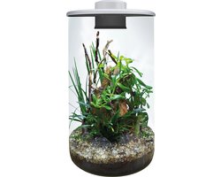 Cylindre Bioart 285 blanc - dômes en verre avec éclairage LED