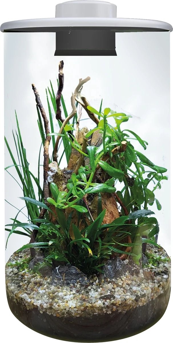 BIOART Cylinder 285 wit 4 liter glazen plantenterrarium met LED, timer en ventilatie