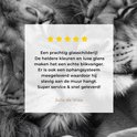 Product afbeelding  10