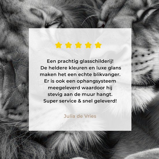 MuchoWow® Glasschilderij 160x120 cm - Schilderij acrylglas - Leeuwen - Dieren - Zwart - Wit - Leeuw - Foto op glas - Muurdecoratie woonkamer - Wanddecoratie slaapkamer - Schilderijen