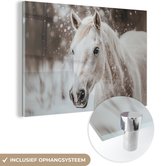 MuchoWow® Glasschilderij 180x120 cm - Schilderij acrylglas - Paard - Wit - Winter - Natuur - Sneeuw - Dieren - Foto op glas - Muurdecoratie woonkamer - Wanddecoratie slaapkamer - Schilderijen